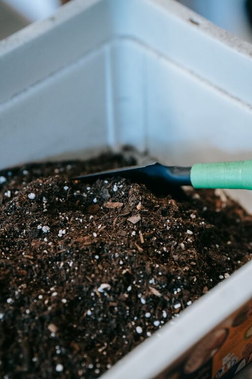 Beginner Tips for Composting at Home: Start Your Eco-Friendly Journey